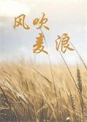 风吹麦浪 电影