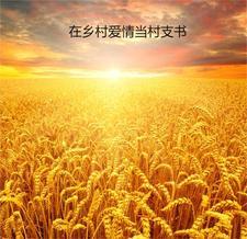 乡村爱情中的村长是谁