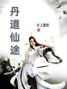 丹道仙途有声