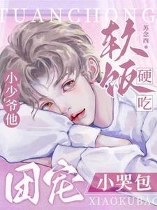团宠美人小少爷
