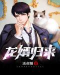 龙婿归来短剧全集