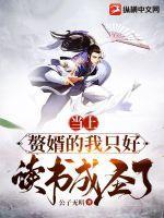 赘婿好吗