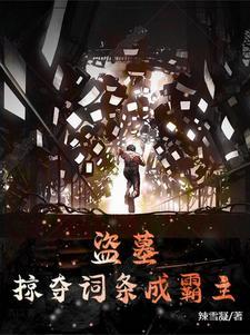 盗墓贼受