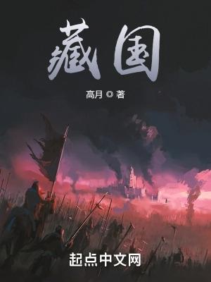 藏国 完本TXT