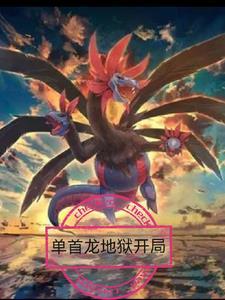 神奇宝贝之暗黑之路