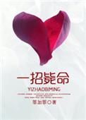 一招毙命好看吗