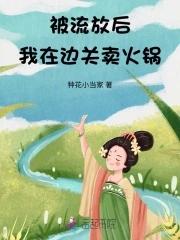 我开起了火锅店无广告