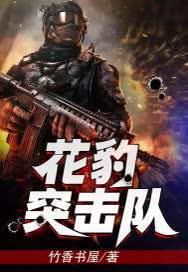花豹突击队续集