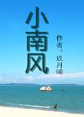 小南风集团(安徽)有限公司