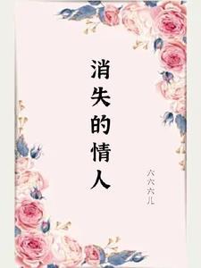 消失的爱人讲的是什么故事