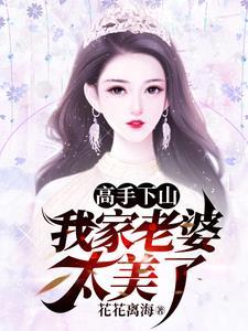 高手下山我的老婆是双胞胎
